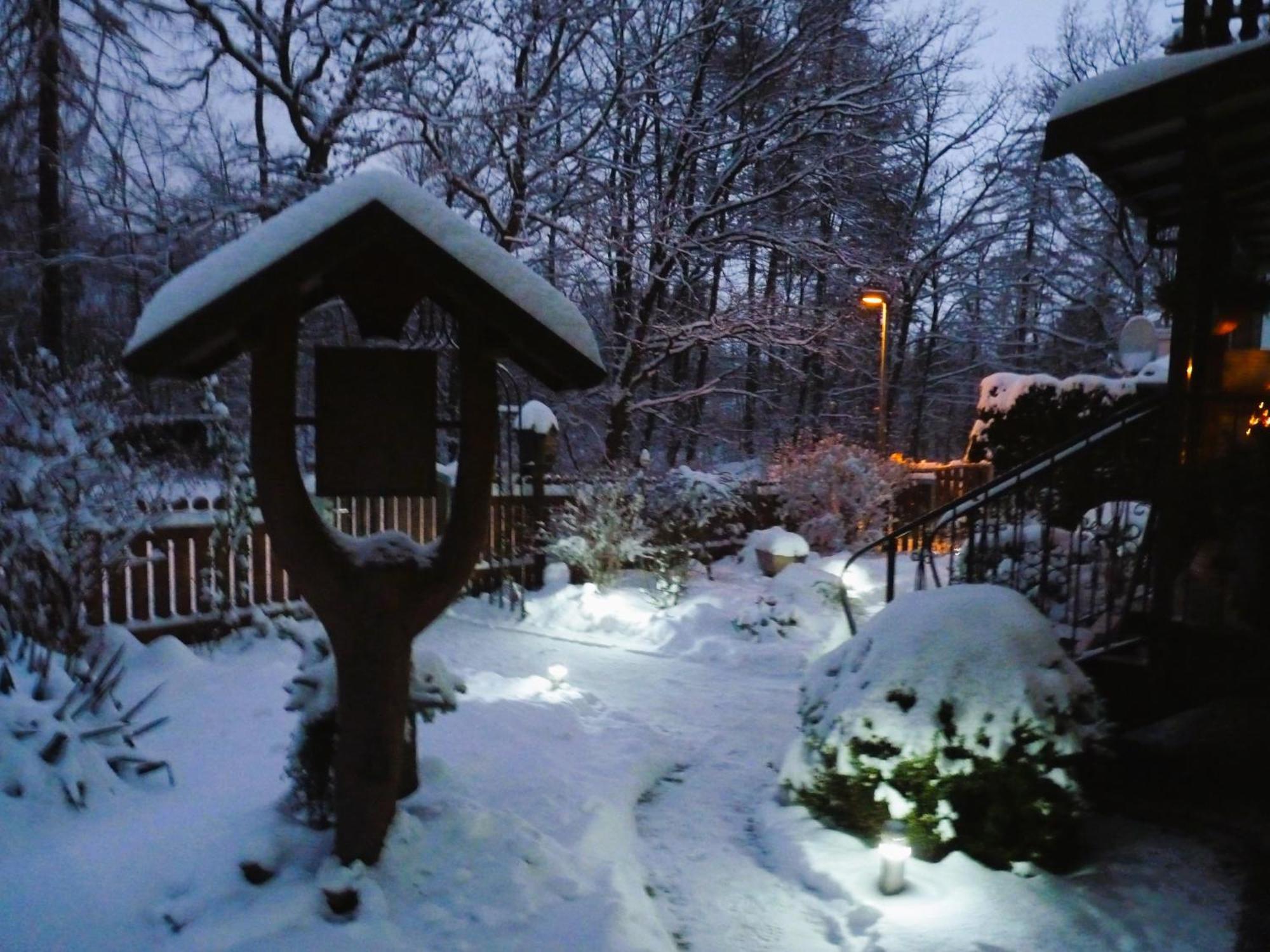 Ferienwohnung im Wald mit Kamin Bad Harzburg Exterior foto
