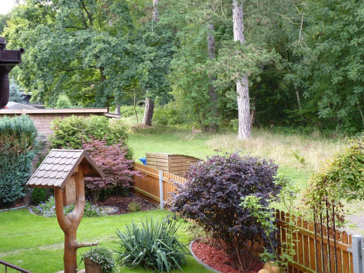 Ferienwohnung im Wald mit Kamin Bad Harzburg Exterior foto